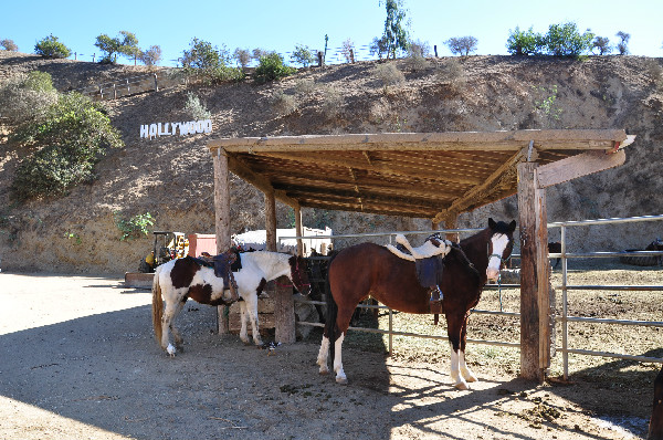 Horse ride through Griffith Park in the Hollywood Hills of California