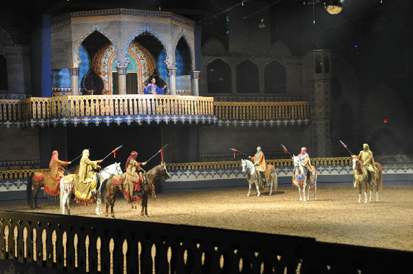 Equestrian entertainment Arabian Nights dinner show In Orlando Florida
