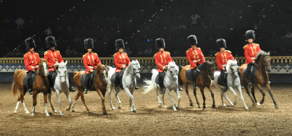 Equestrian entertainment Arabian Nights dinner show In Orlando Florida