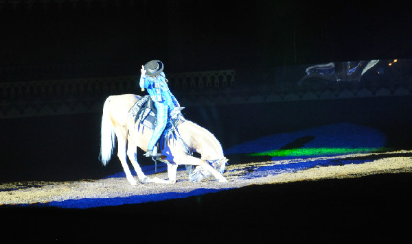 Equestrian entertainment Arabian Nights dinner show In Orlando Florida