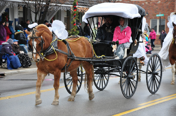 Lexington Michigan Old Fashioned Chrsitmas Horse Parade