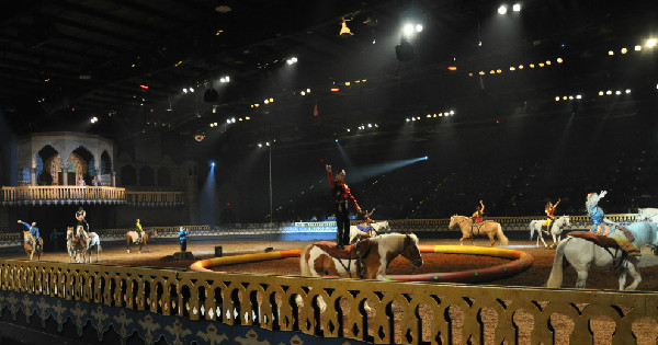 Equestrian entertainment Arabian Nights dinner show In Orlando Florida