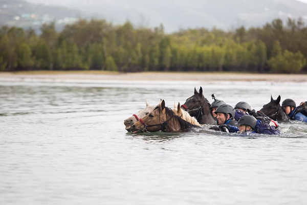 race the wild coast river swims