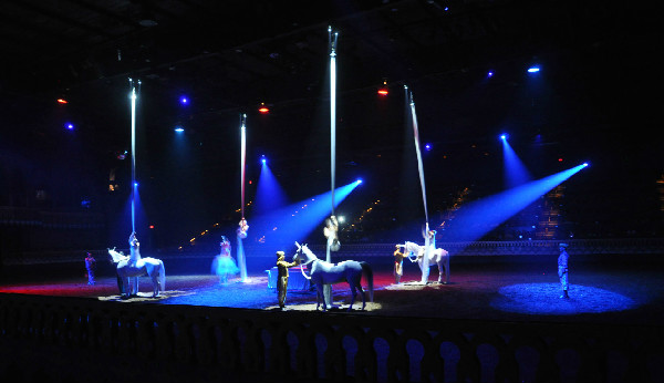 Equestrian entertainment Arabian Nights dinner show In Orlando Florida