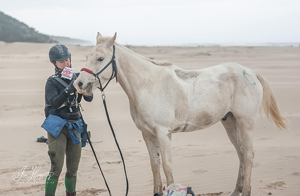 makin grey horse race the wild coast