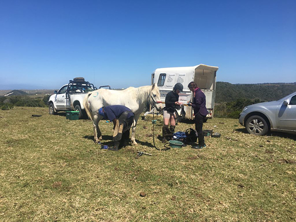 pit stop at kob race the wild coast