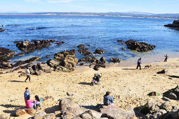 beach horse riding on Monterey Bay, California