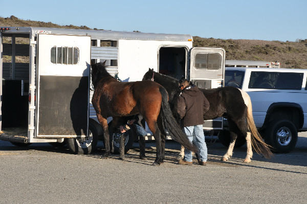 beach horse riding on Monterey Bay, California