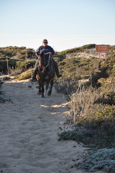 beach horse riding on Monterey Bay, California