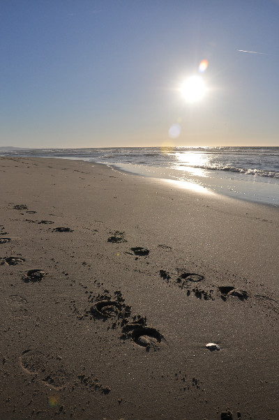 beach horse riding on Monterey Bay, California