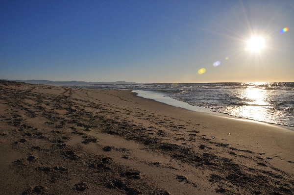 beach horse riding on Monterey Bay, California