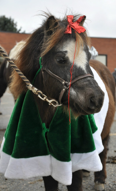 Lexington Michigan Old Fashioned Christmas Horse parade