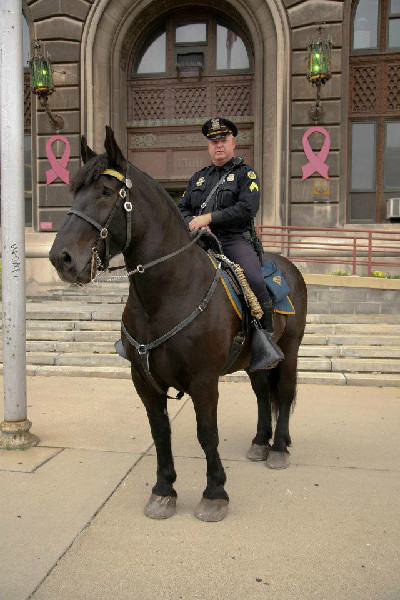 Detroit mounted police, an equestrian police unit