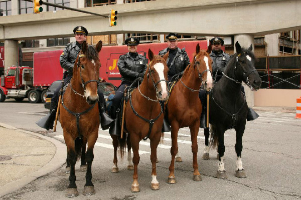 Detroit mounted police, an equestrian police unit