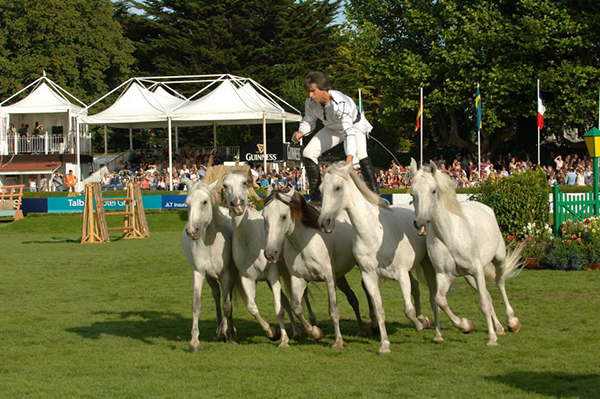 dublin horse show irelnad