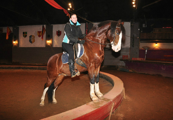 Agnes Turek and her American Warmblood Murdock