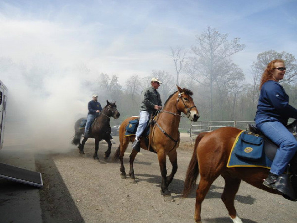 Detroit mounted police, an equestrian police unit