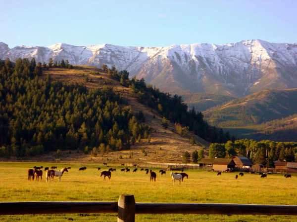 7D Ranch cody, wyoming