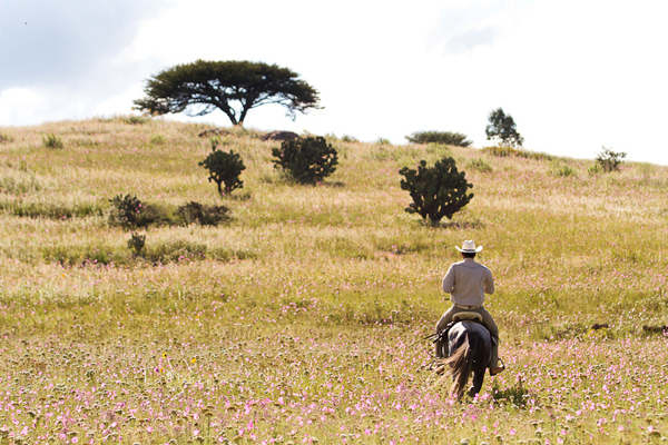 horseback ride mexico rancho las cascadas