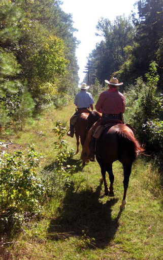 Riders exploring horse trails based out of Ahtus Melder Camp