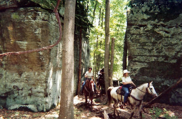 Allegheny Forest horseback riding