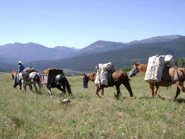BCHA montana horse trails