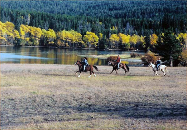 tsylos park lodge BC horseback riding vacation