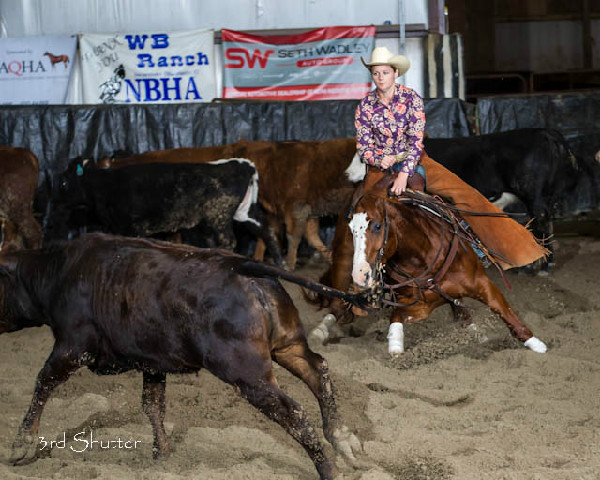 Equine veterinarian and cutting horse rider Dr. Crystal Dewitt