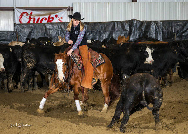 Equine veterinarian and cutting horse rider Dr. Crystal Dewitt