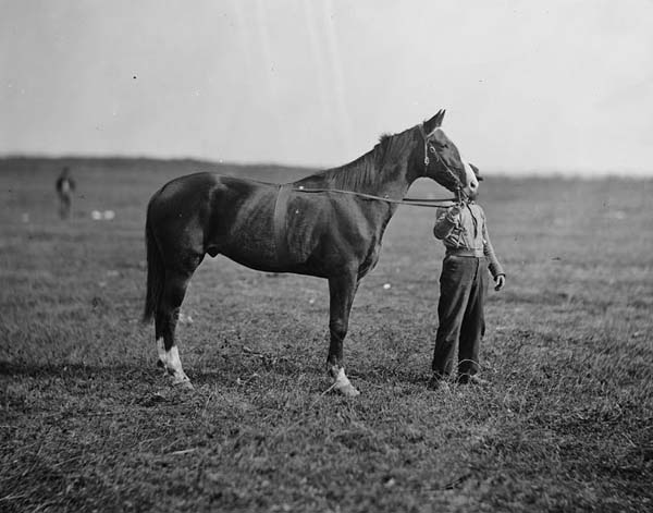 Old Baldy General Meade Civil War