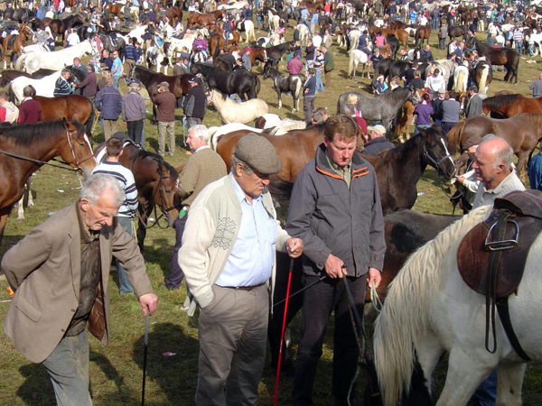 Ballinasloe Horse Fair Ireland