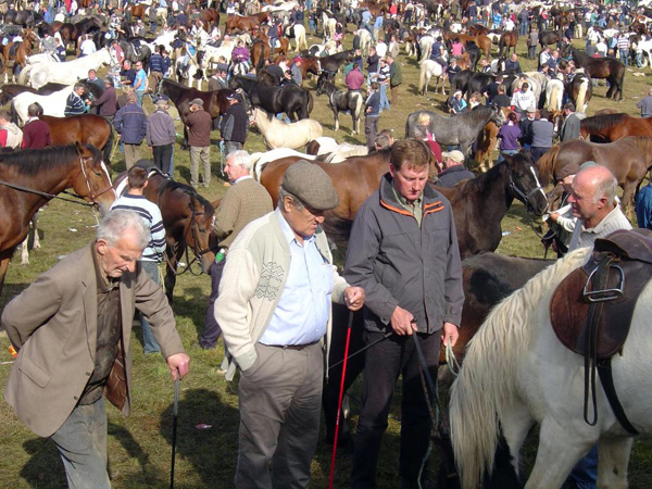 Ballinasloe horse fair riding vacation