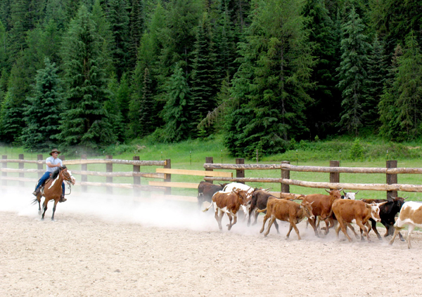 Bar W Cattle Drive