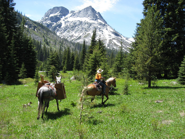 A Selway-Pintler Wilderness Back Country Horsemen volunteer project takes author, Kathy Hundley, and her stock, through 7 Mile Meadow while on a clearing project. Photo by Terry Reed