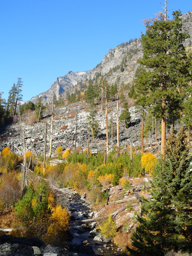 Blodgett fall colors