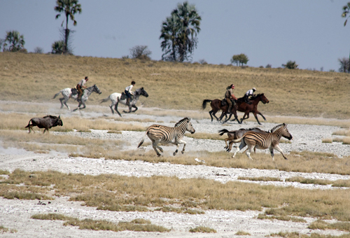 Makgadikgadi Pans zebra migration