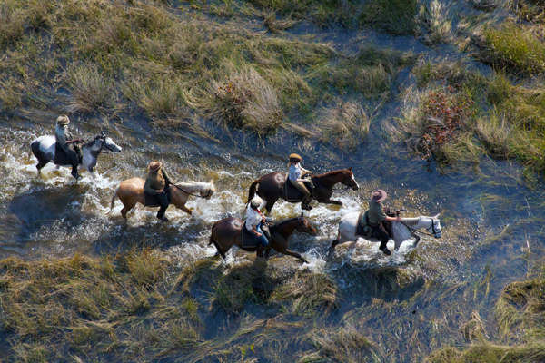 botswana okavango delta equitrekking