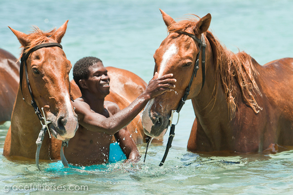 jamaica horseback riding ocean beach