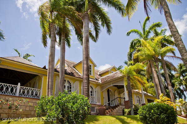 braco house jamaica