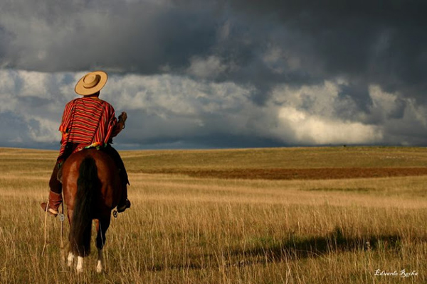 brazil horseback riding