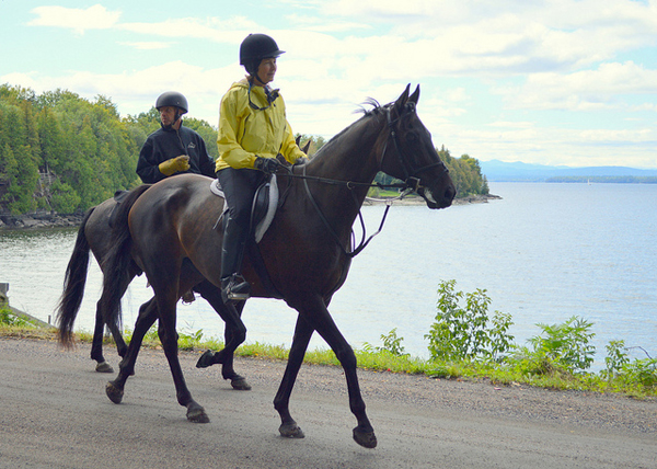 CHAMP Benefit Trail Ride Vermont