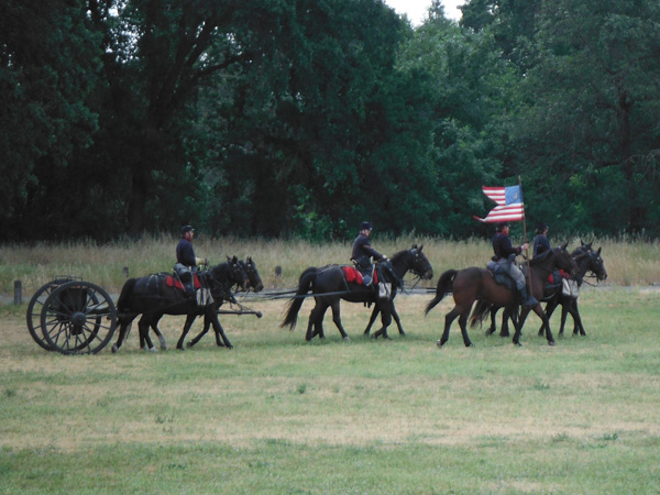 CHAS six horse artillery team