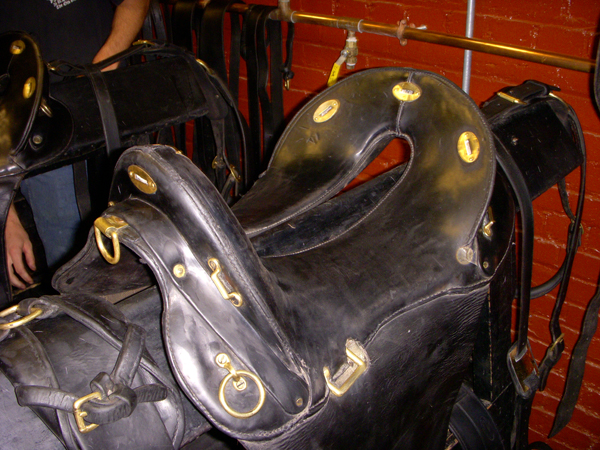 Caisson Saddle