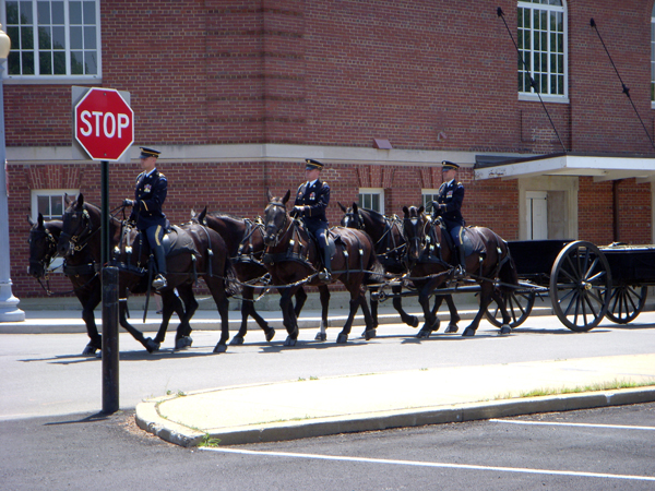 Caisson Soldiers