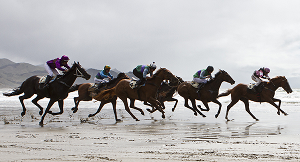 Beach races at Castlepoint Beach Races, an annual Wairarapa Event