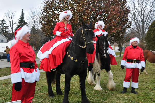 Christmas Horse Parade Nan Spadacence Michigan