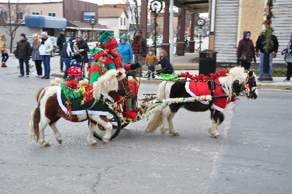 Christmas Horse Parade Gypsy Vanner