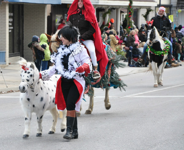 Christmas Horse Parade Miniature Horses