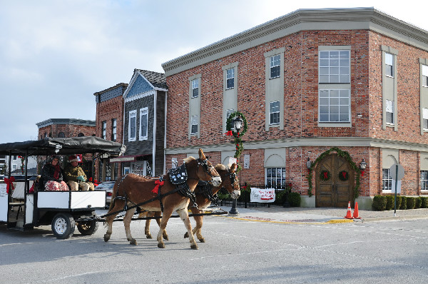 Christmas horse parade holidays mules