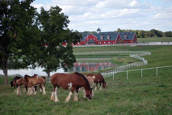 warm spring ranch tour